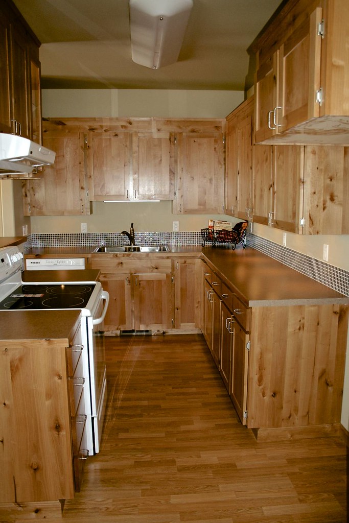 Cari Nutrition Review: Is This Home Pick Worth It?